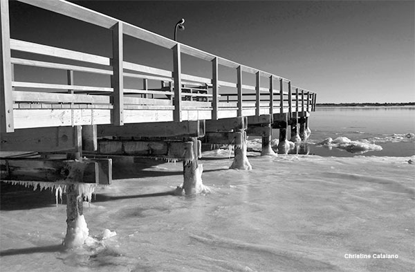 Winter Walk, B & W Conversion by Christine Catalano