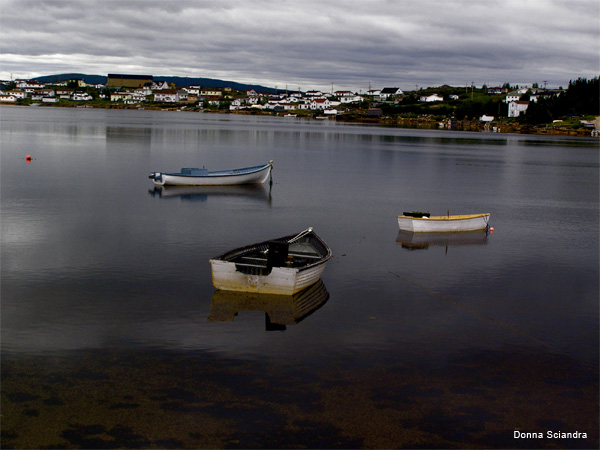 Gloomy Day by Donna Sciandra